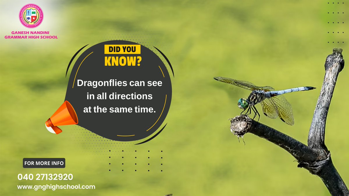 Did You Know?
Dragonflies can see in all directions the same time.
#gnghighschool #ganeshnandanigrammarhighschool #gnghighschool23 .
.
.
#didyouknow #dragonfly #DidYouKnowIt #funtimes😎 #educationalquotes #schoolrules #schoollifememes #schoollife📚 #schoolmemory #school
