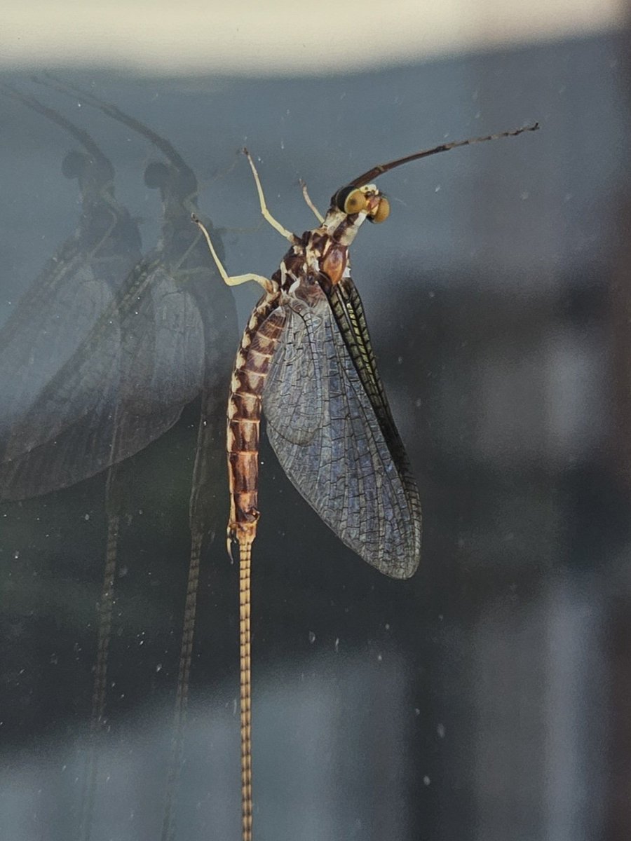 𝙲𝚑𝚛𝚒𝚜𝚝𝚘𝚙𝚑𝚎𝚛 🥑 tweet media