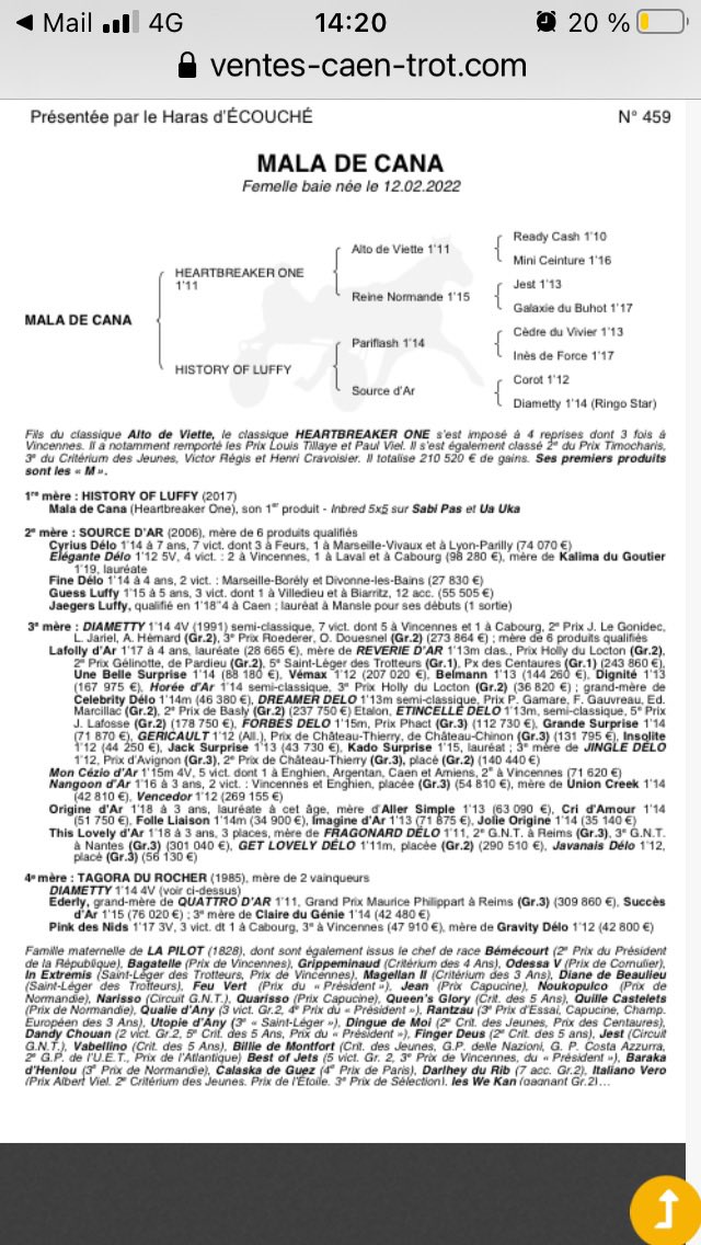 MaryBaudier's tweet photo. Lot 459 ! Un grand plaisir de présenter notre pouliche aux ventes de Caen 2023 ! https://t.co/1ZEGXm3Er3