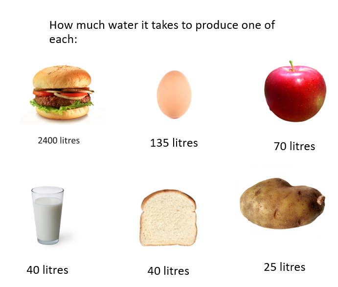 How water-efficient are your food options? 

Data from- vitaimpact.org/vita-publicati…