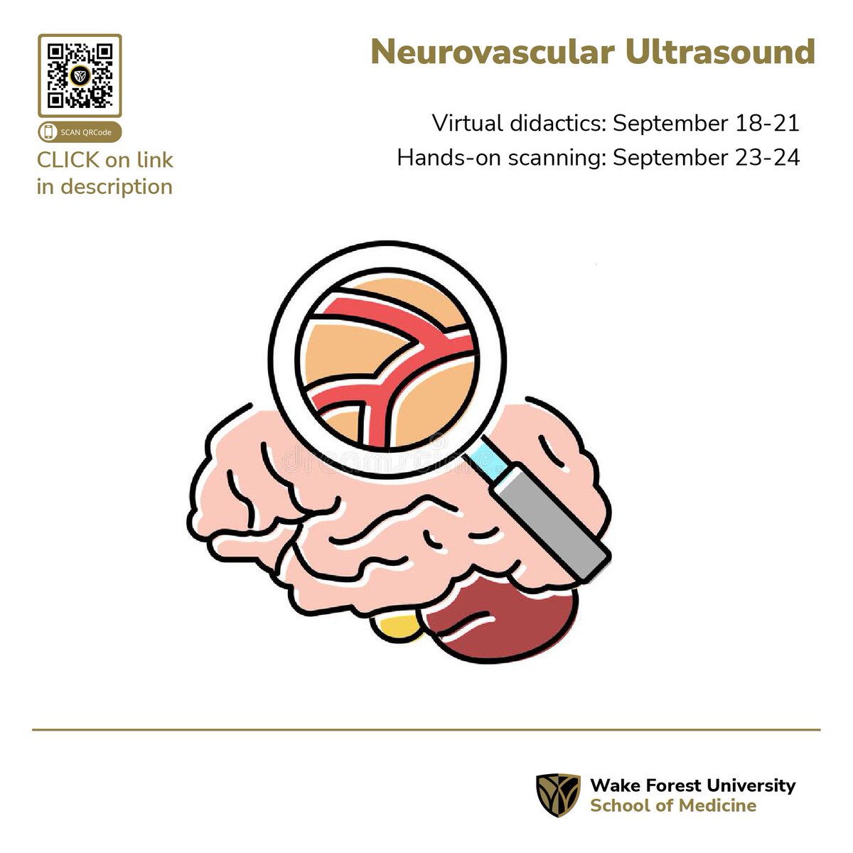 Watch out for our #Neurovascular #Ultrasound course coming up in the near future  #cometrainwiththebest 

northwestahec.wakehealth.edu/courses-and-ev…

---
<a href="/AtriumHealthWFB/">Atrium Health Wake Forest Baptist</a> <a href="/UltrasoundWake/">Wake Forest Ultrasound</a> <a href="/wakeforestmed/">Wake Forest University School of Medicine</a>