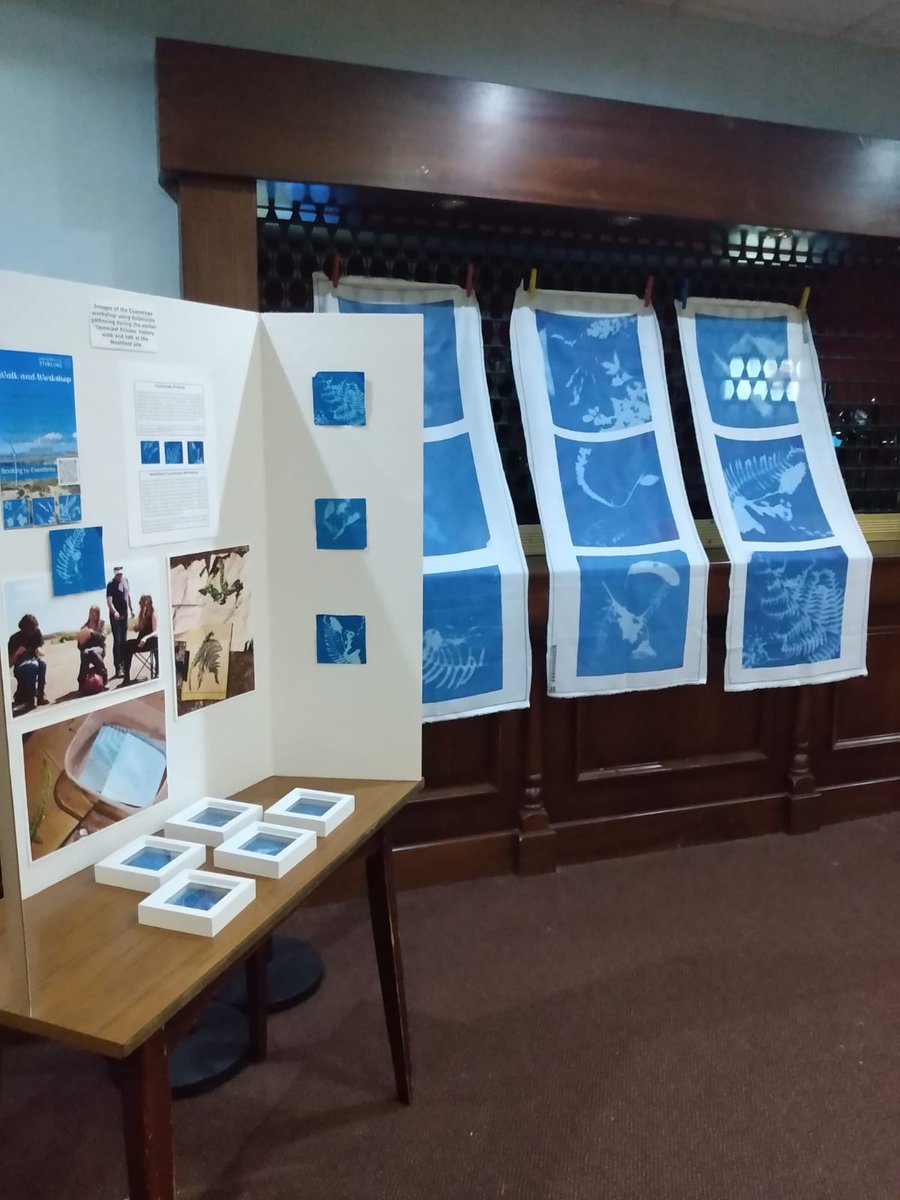 yweighandlyle's tweet photo. 🌿🎨📽️Thank you @coal_legacies @CinemaKelty for a wonderful evening last week! It was great to meet up with everyone and display the finished #cyanotype #artworks as part of the #popupexhibition
@StirUni
#coal #opencast #miningheritage https://t.co/0YR8kYxScF