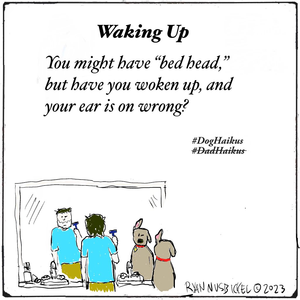 Dad__Haikus's tweet photo. Bad ear day.
#doghaikus #dadhaikus #pets #dog #poetry #haiku #cartoon https://t.co/hALPxsSnbS