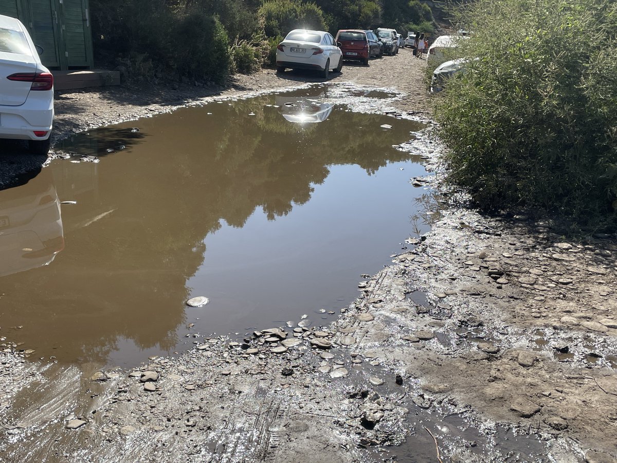 Belediyenin ihaleye girmemesi, buradaki aşırı pahalı işletmenin halka reva görülmesi, kalitesizliğin diz boyu olması, fiyatların denetlenmemesi <a href="/milliparklar/">Milli Parklar</a> <a href="/milliparkdilek/">Dilek Yarımadası B.Menderes Deltası Milli Parkı</a> <a href="/iletisim/">T.C. İletişim Başkanlığı</a> <a href="/omergunel/">Ömer Günel</a> <a href="/OZLEM_CERCIOGLU/">Özlem ÇERÇİOĞLU</a> kimin sorumluluğunda? <a href="/SikayetKusadasi/">🇹🇷 Şikayet Var! KUŞADASI </a> #dilekyarımadası