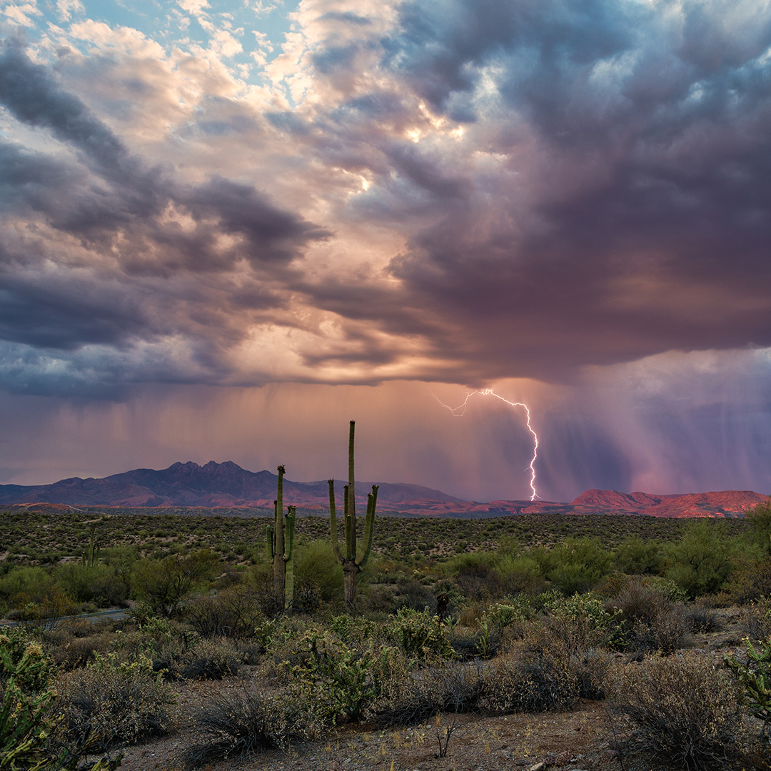 Arizona never ceases to amaze us. The natural beauty reaches from the blooming vegetation to the electric skies. #MonsoonSeason Learn more about our community at teravalis.com #Teravalis #LandoftheValley #HHC