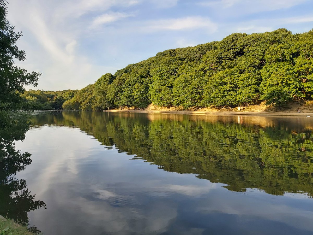 We’re proud to announce we have once again been awarded the prestigious @GreenFlagAward for seven of our gorgeous parks and green spaces🌳 The award recognises the beautifully maintained environment within the parks and greenspaces as well as the excellent visitor facilities!✨