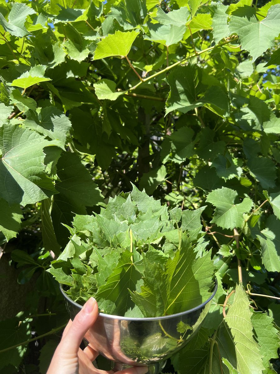 Çok piss sararım 😅😉