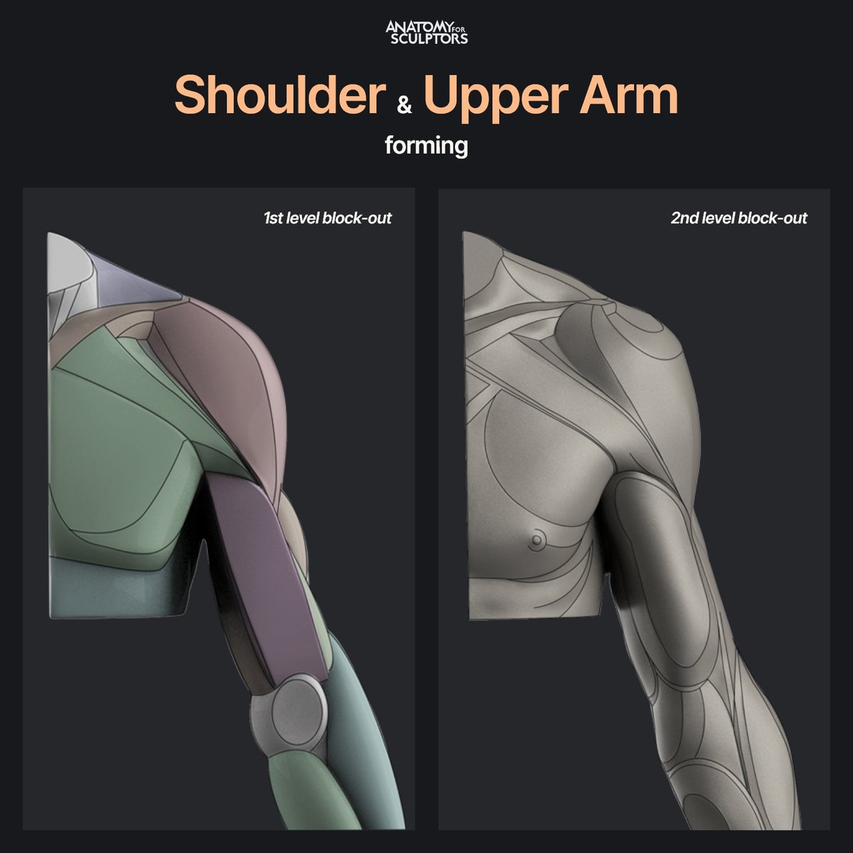 All our anatomy books for artists break down complex organic forms into simple shapes, and the 4th book – Form of the Arm and Hand in Motion – is no exception! Check out these 1st and 2nd level shoulder and upper arm block-outs! #anatomy #references #art #anatomy4sculptors