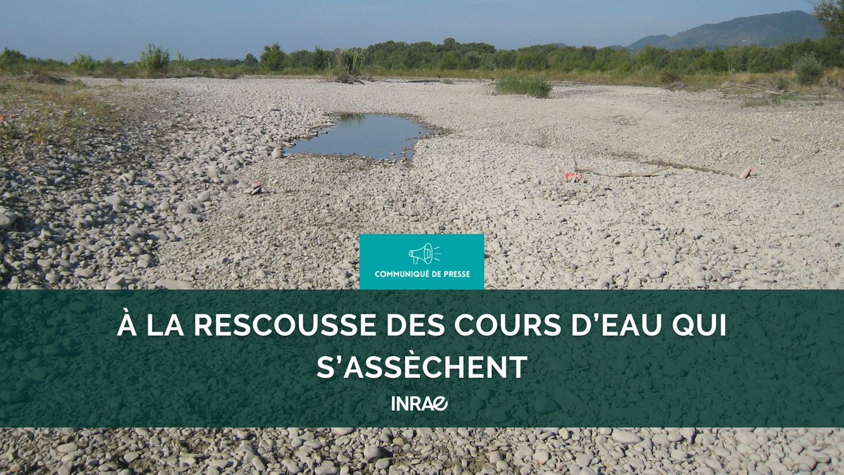 #RP_INRAE🥳En 1 an, près de 1300 internautes dans le monde ont agi pour préserver les rivières !
👏+de 1900 cours d'eau surveillés et 4000 observations
📷Comment ? En envoyant des photos de rivières à travers le globe sur l'appli open-source DRYRivERS
📰url.inrae.fr/3DhQCkm
