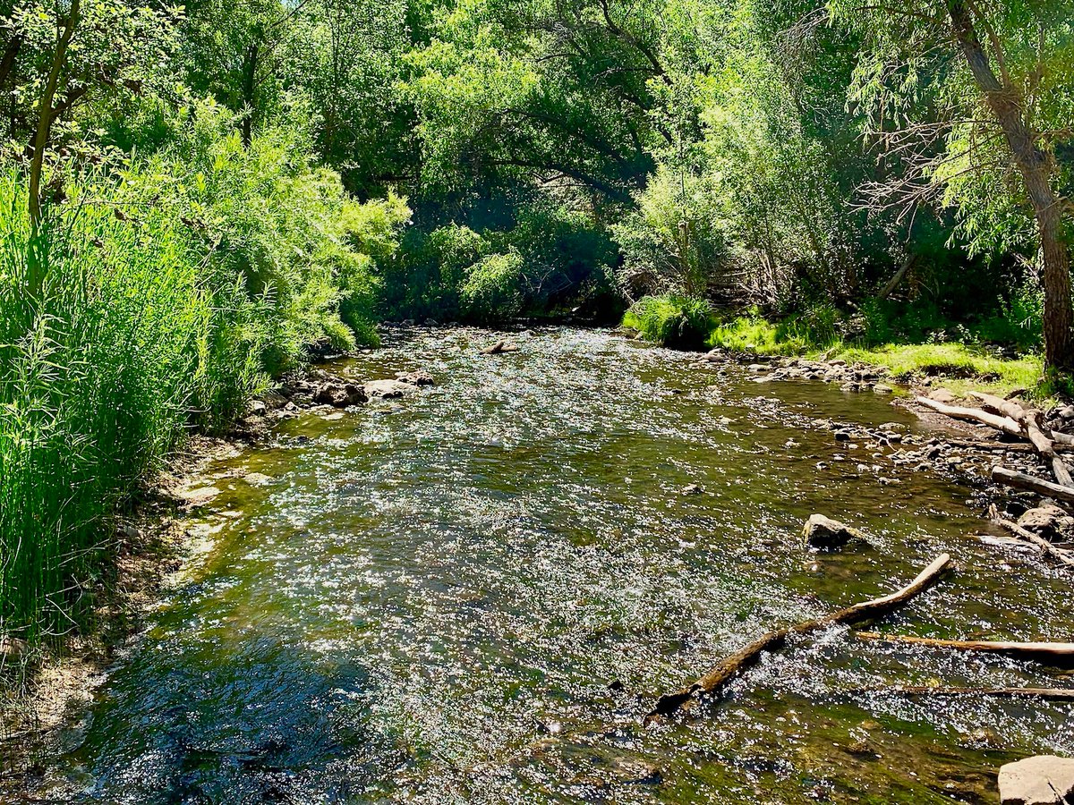 Roger Naylor tweet media