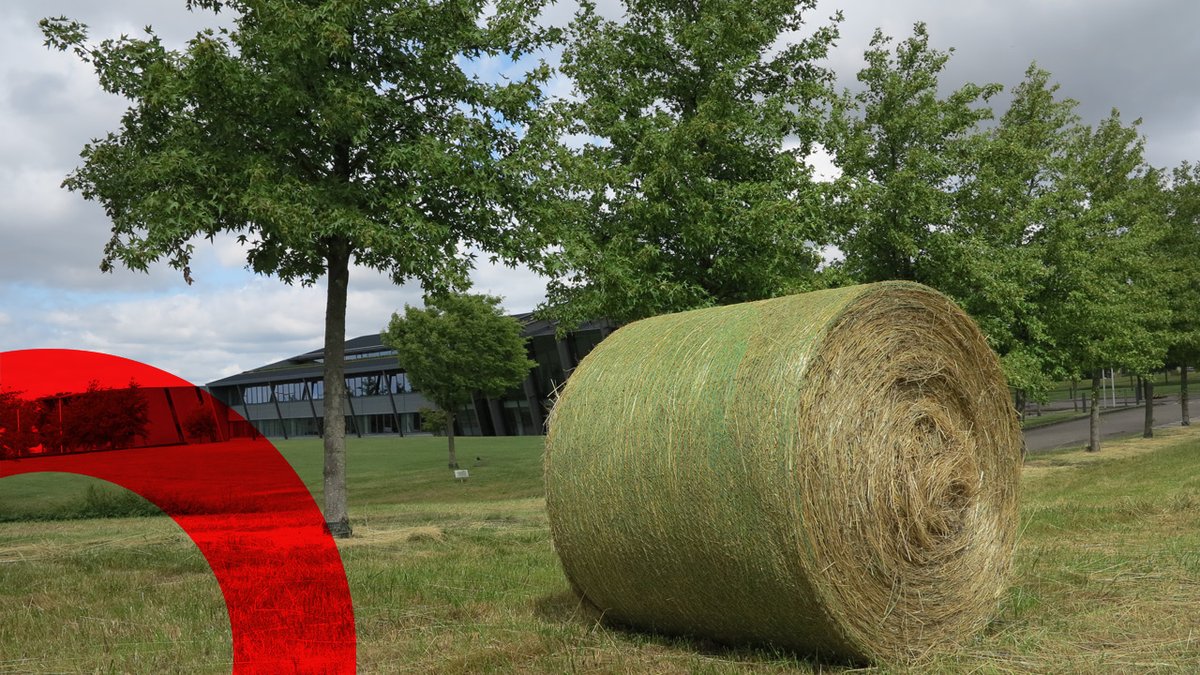 Renaturierung, Umwelt- &amp; Ressourcenschutz

Unter Renaturierung versteht man die Wiederherstellung von naturnahen Lebensräumen aus kultivierten, genutzten Bodenoberflächen um optimale Lebensbedingungen für Pflanzen und Tiere zu schaffen. #ReitstallConra

news.amada.de/2023/07/19/heu…