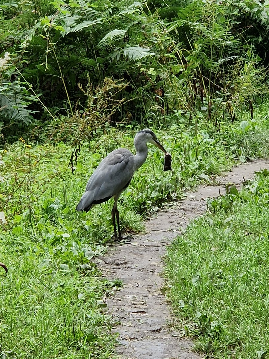 Frew ™ tweet media