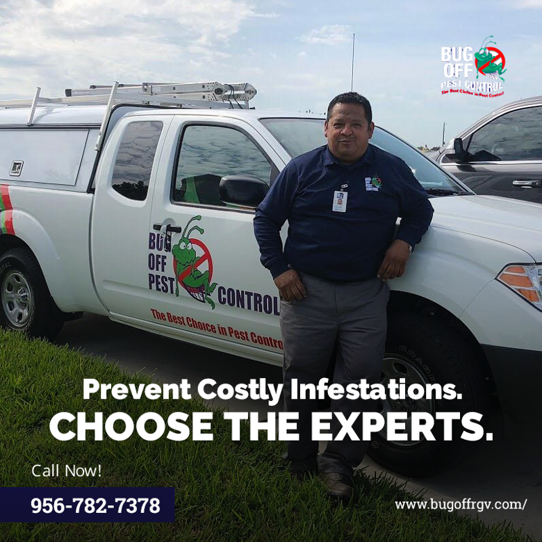 BugOffRGV's tweet image. Save money and hassle by taking proactive steps. Schedule your appointment with Bug Off Pest Control today at 956-782-7378. Trust the professionals to keep your home pest-free!