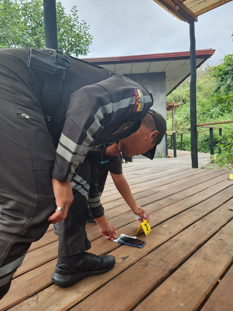 WildAid Latinoamérica tweet media