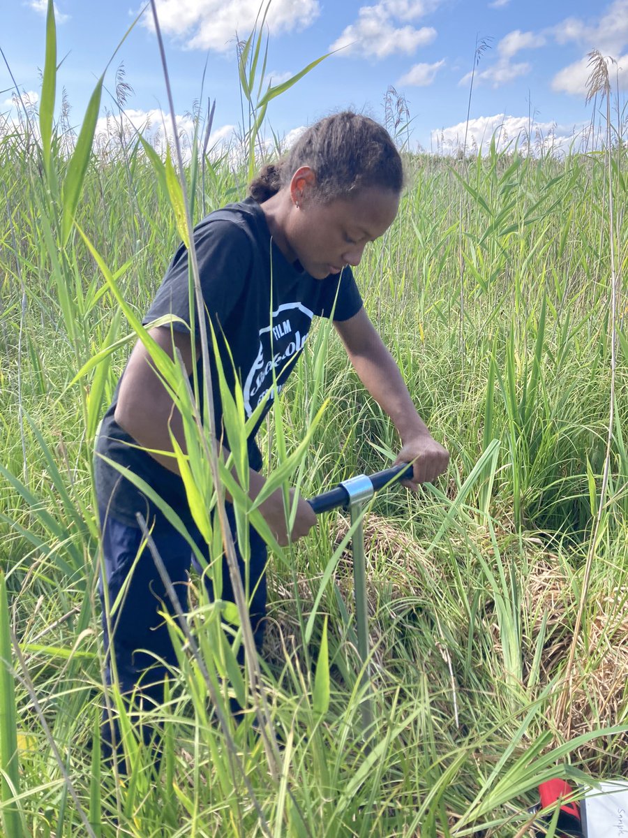 AMRI (Aquatic Microbiome Research Initiative) tweet media