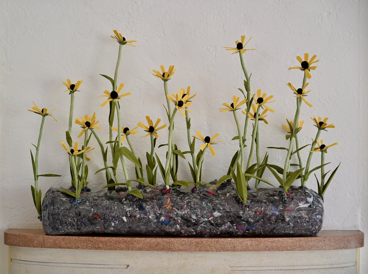 5stitch's tweet photo. Every petal is a poignant reminder of the natural beauty we're losing, and a silent plea to preserve and protect it.
#ClimateAction #wildearth https://t.co/o1CiS4dqYX