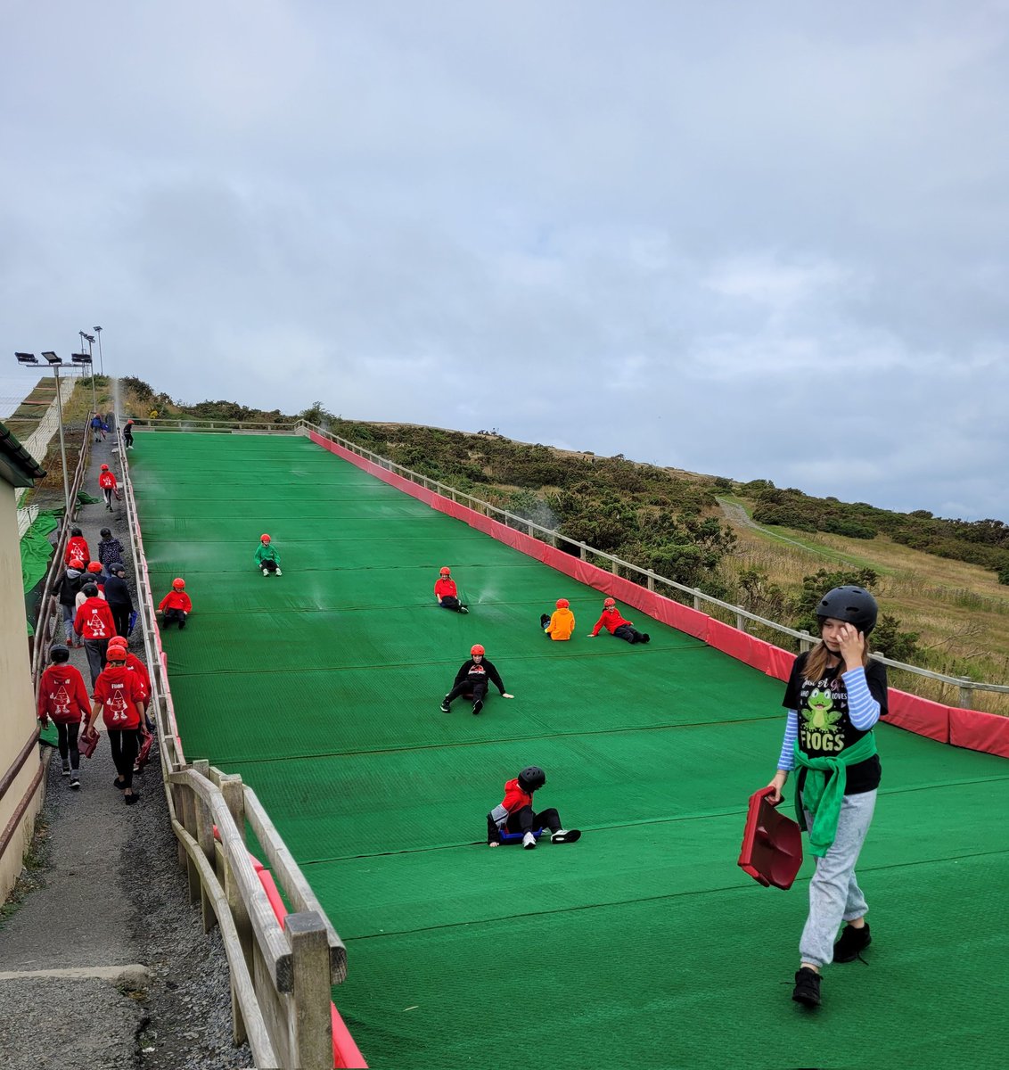 k normansell tweet media