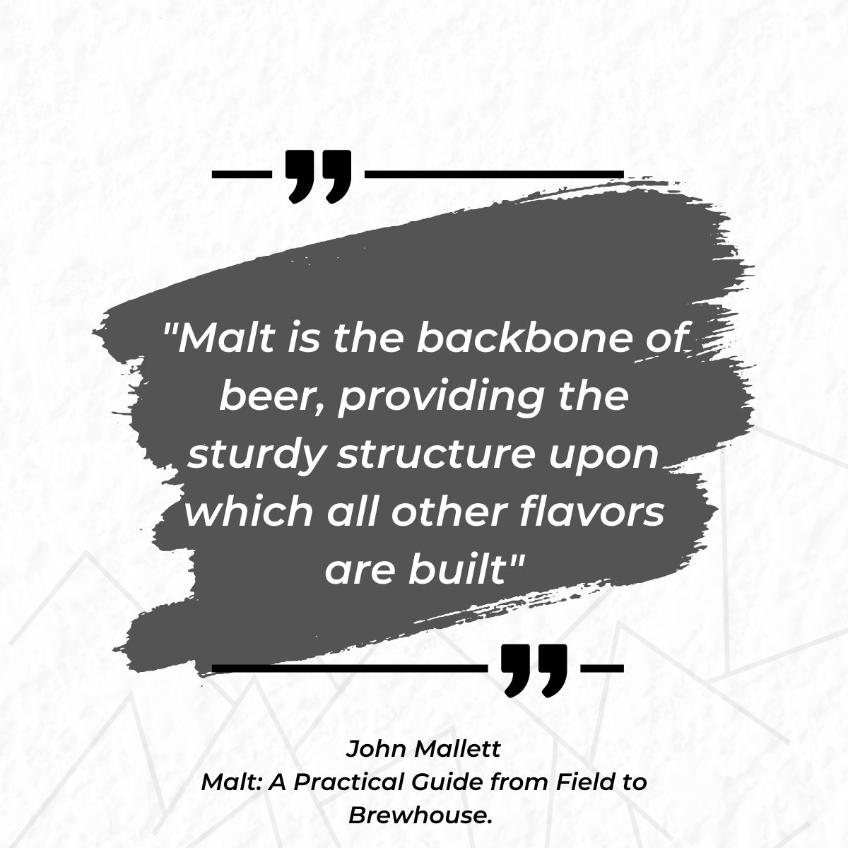 #floormalting #malt #bettermalt #flavour #maltmatters #fact #traditional #traditionalcraft #artisan #maltstars #wednesdaywisdom