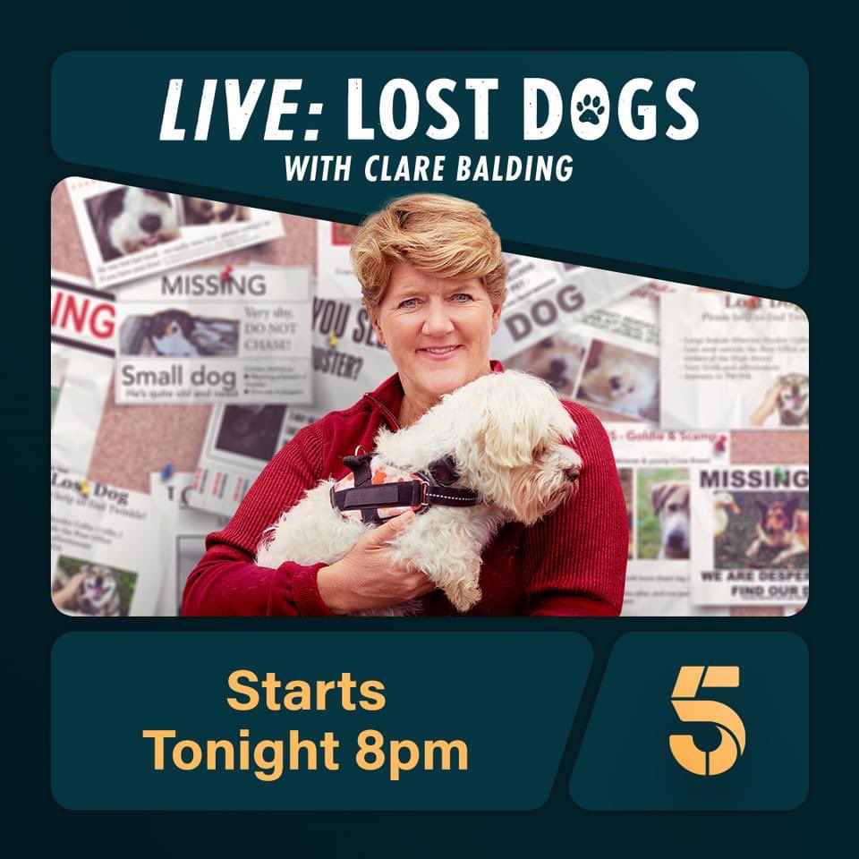 getdexterhome's tweet image. Help us get DEX on #LostDogsLive🐾 Please tag @getdexterhome under Channel 5’s &amp;amp; @clarebalding ‘s tweets. This could be invaluable coverage that helps to bring him home to us 🧡 #GetDexterHome #Channel5 #Viral #RT #TourdeFrance #BarbieMovie