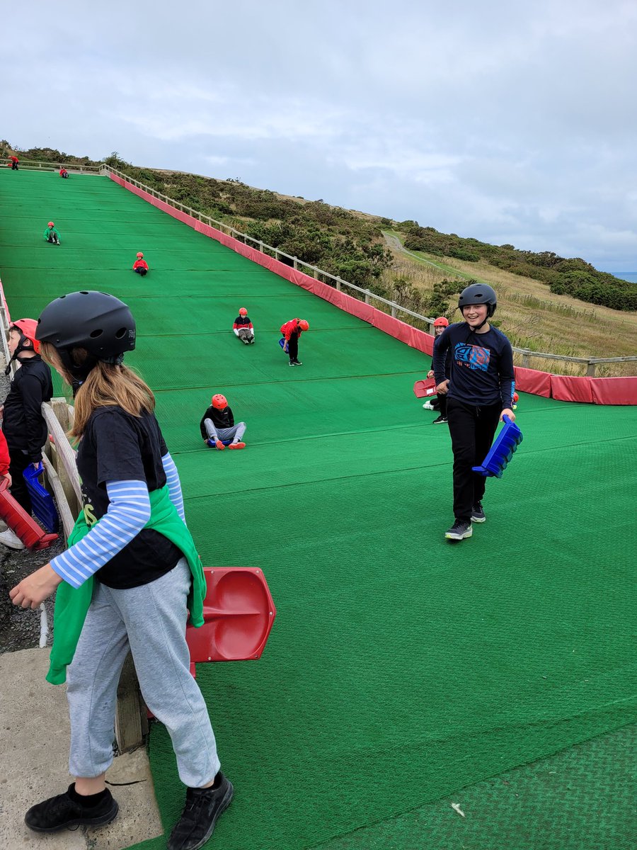 k normansell tweet media