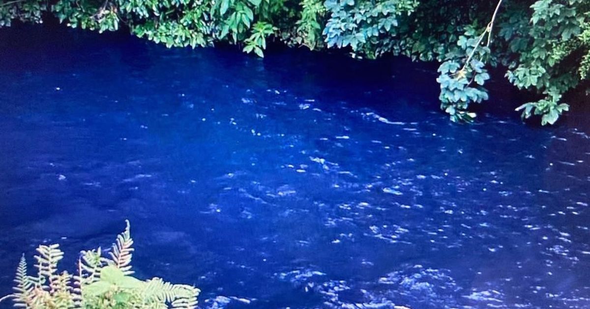 Mirror Earth tweet media