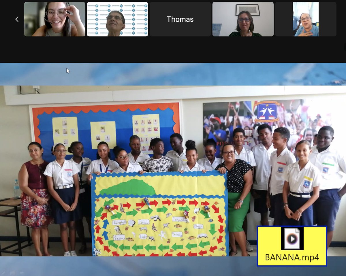 adopt a float tweet media