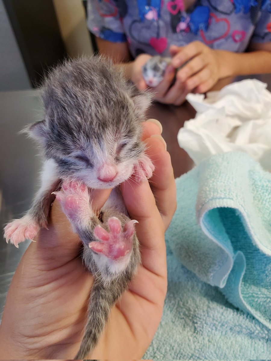 me and mmy frend Chunbyb being Inspected..?