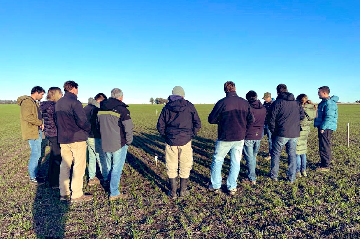 Damiantwr's tweet photo. Muy buena tarde de intercambio técnico evaluando #MatenoPlus en Trigo.
Gracias a todo el Equipo @AgroBayerAR, muchos colegas hacia tiempo no veía.
Prometí ser buen anfitrión de @Rolobidegain , @solarroquy y Equipo. ☕️🥐.
• 📌 San Cayetano
#Raigras #Nabolza https://t.co/zoG1g1ha4L