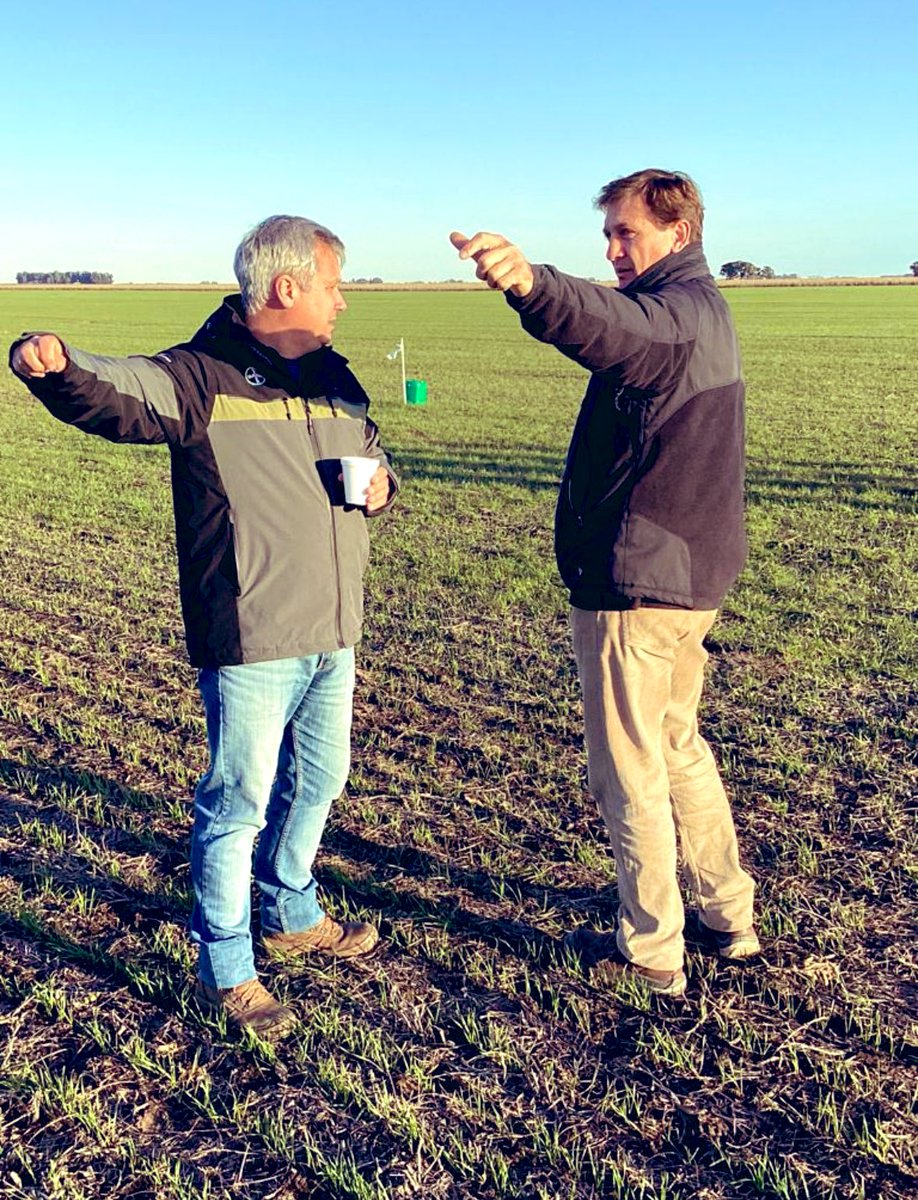 Muy buena tarde de intercambio técnico  evaluando #MatenoPlus en Trigo. 
Gracias a todo el Equipo <a href="/AgroBayerAR/">Agro Bayer</a>, muchos colegas hacia tiempo no veía. 
Prometí ser buen anfitrión de <a href="/Rolobidegain/">Rolo</a> , <a href="/solarroquy/">Sol Arroquy</a> y Equipo. ☕️🥐.
• 📌 San Cayetano
#Raigras #Nabolza