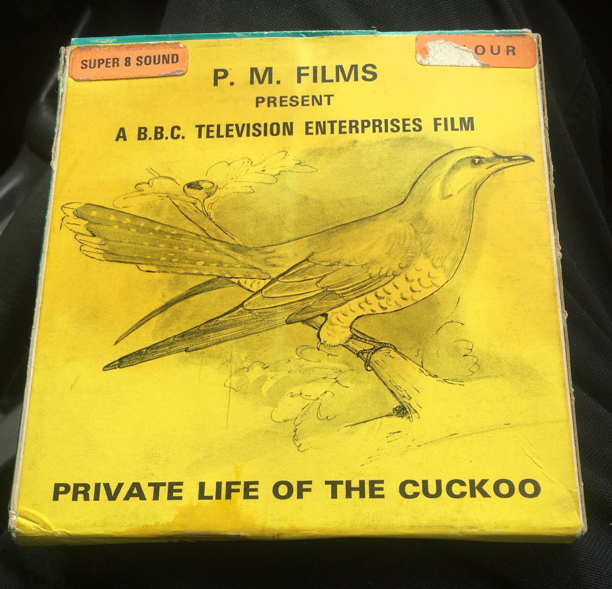 houndtrail's tweet photo. Taking this old ‘77 8mm cine film to be converted onto a more modern format today. #wyllie #warblercuckoo #tangledbank https://t.co/3EfEnbInQj