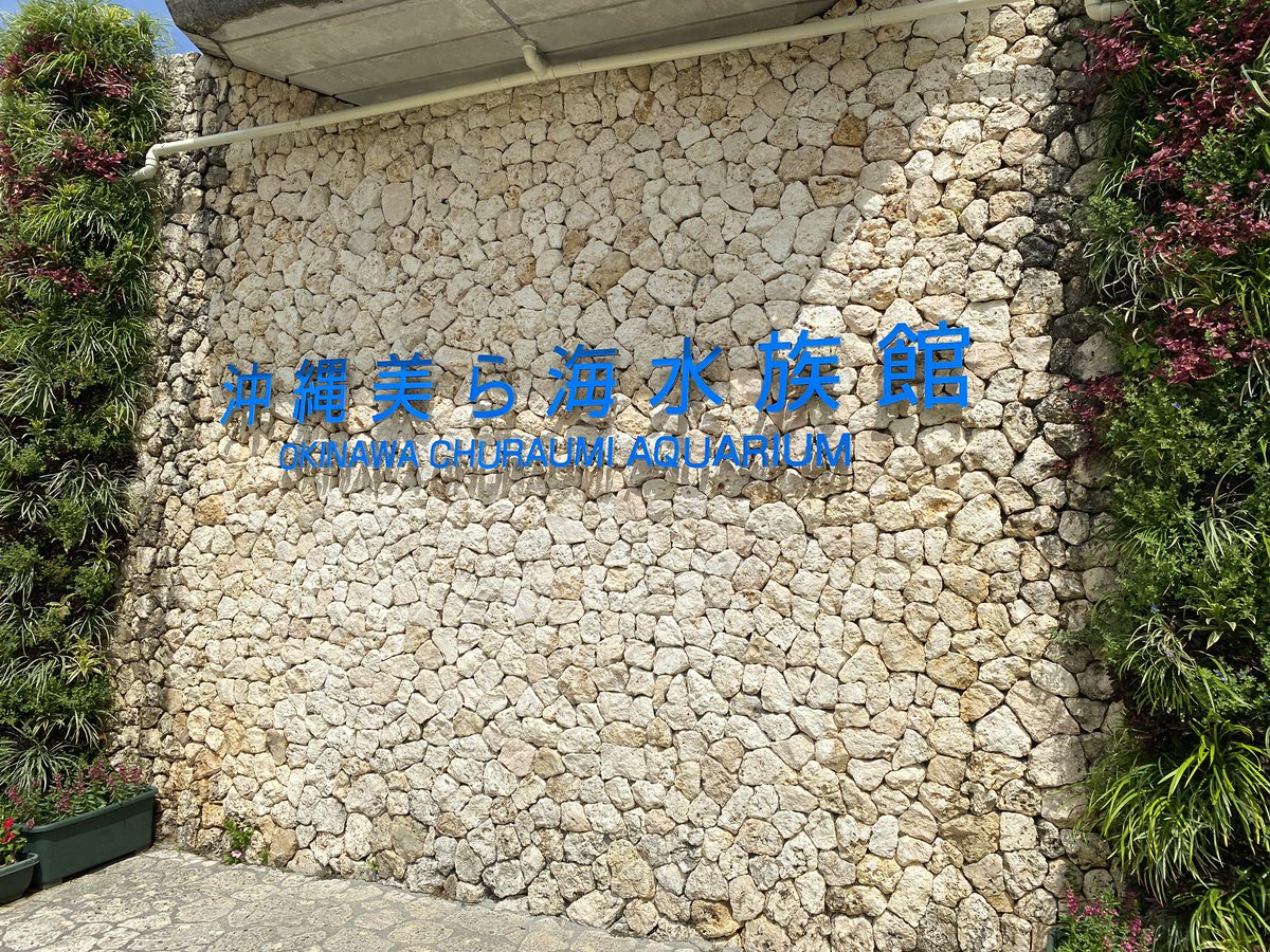 y_whitebait's tweet photo. 実は17日から今日まで沖縄旅行行ってました🌴🌺✈

本垢では随時ツイートしてたけどこっちは事後報告で https://t.co/7fyG01wKrx