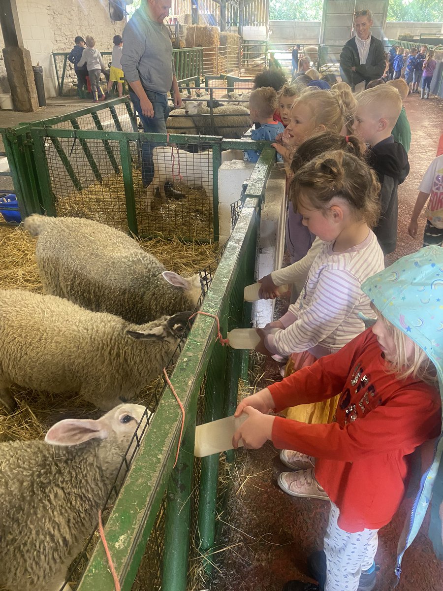 Diwrnod da yn Fferm Ffantasi ar ddechrau’r wythnos! 🐴🐔🐷🐰🐑🐂