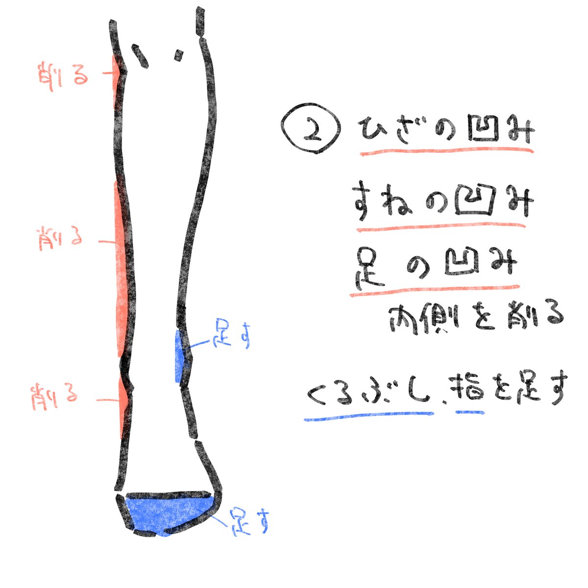 FAN BOXを始める前に描いていた脚の解説です 