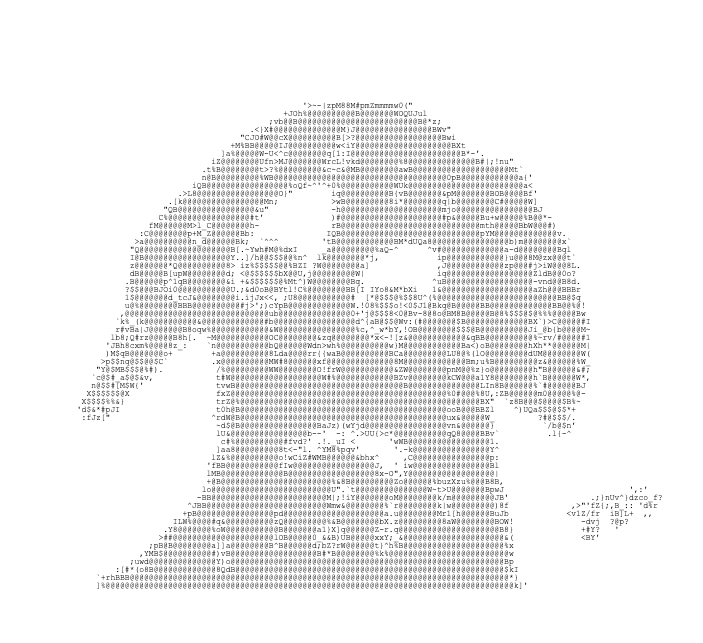 Look cute, but it's an idiot