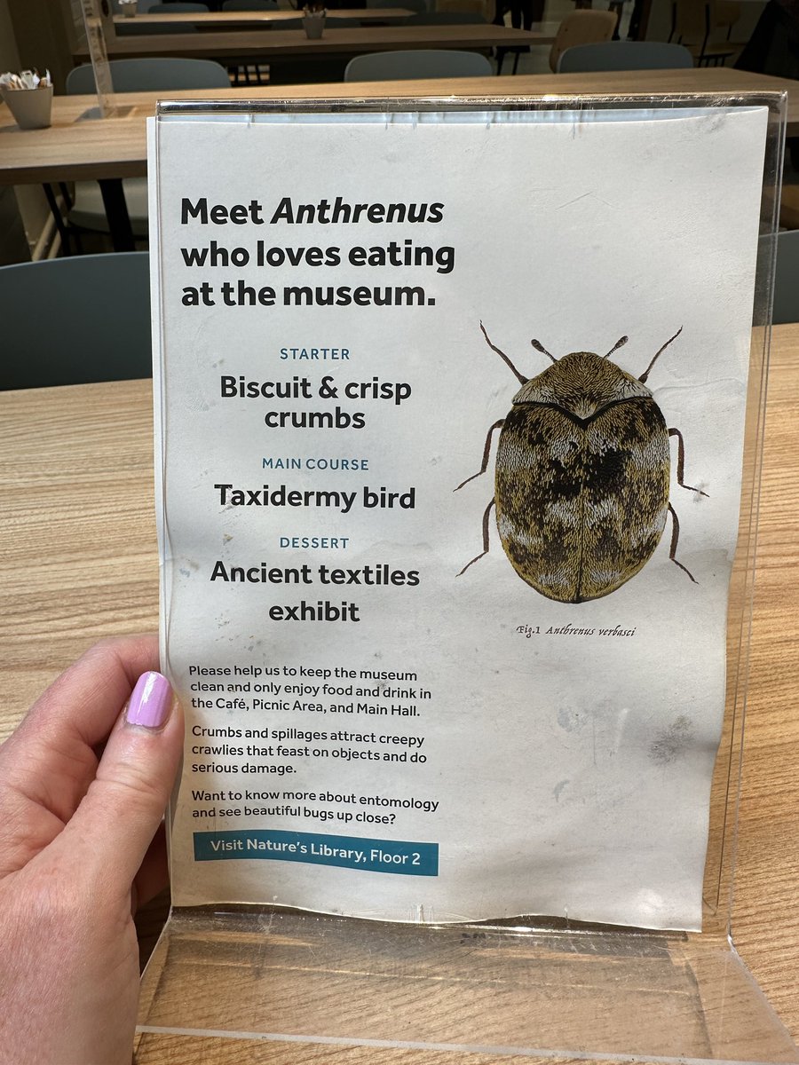 TinctureOfMuse's tweet photo. Final day in #Manchester and I am back in @McrMuseum to see how visitors use the gallery spaces… some nice café interpretation here https://t.co/VN8YMLPP3t