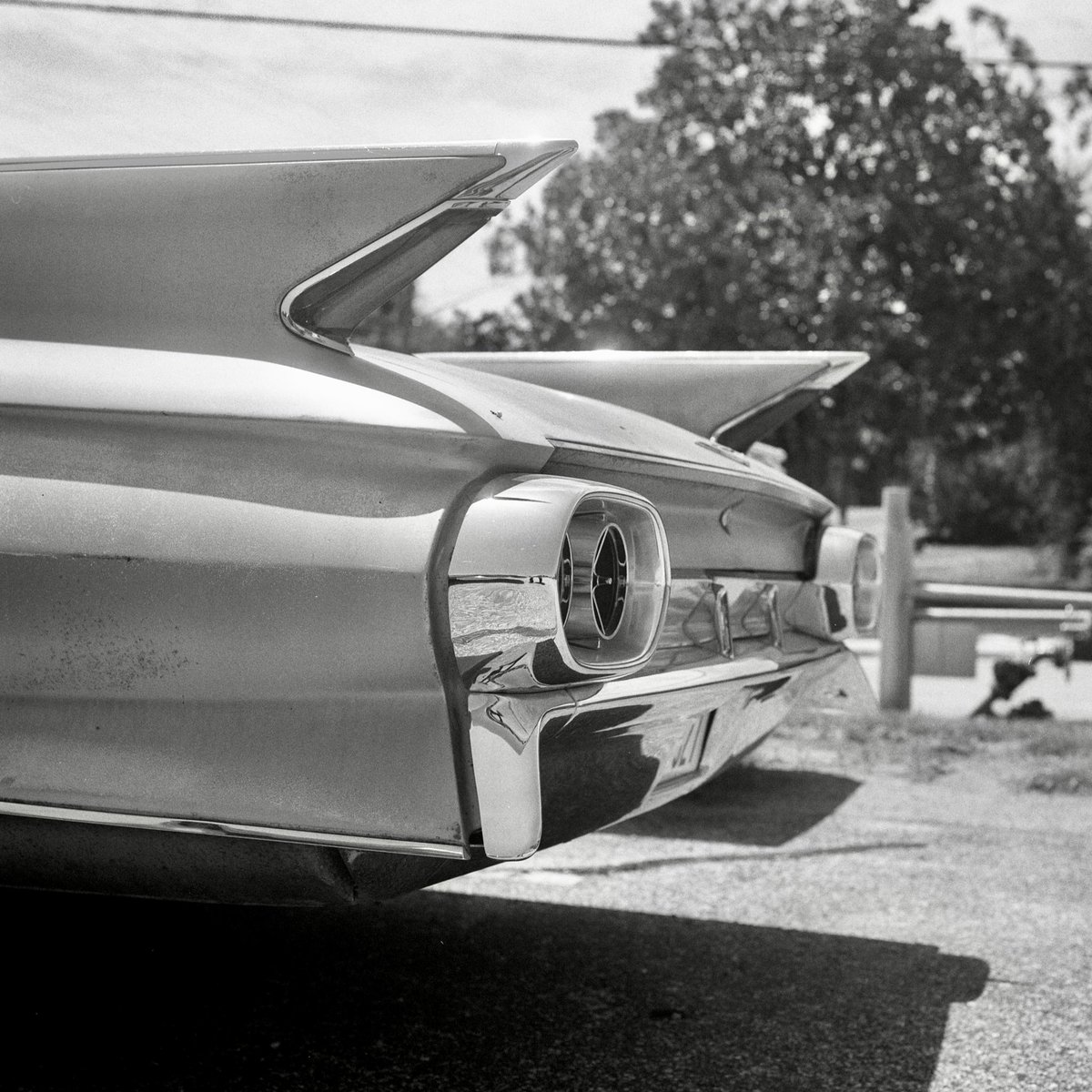 TriXFilm's tweet photo. When Cars Could Fly • Austin, Texas, USA  Rolleiflex 2.8 D • Kodak Tri-X 400 • 2023  #FilmPhotography #Kodak #TriX #Film #Camera #120film #MediumFormat #Rolleiflex #BWfilm #Photography #ATX #TX #Austin #Texas #Outdoors #Monochrome #Vintage #Vehicle #Fins #Classic https://t.co/iGJokFf2j8
