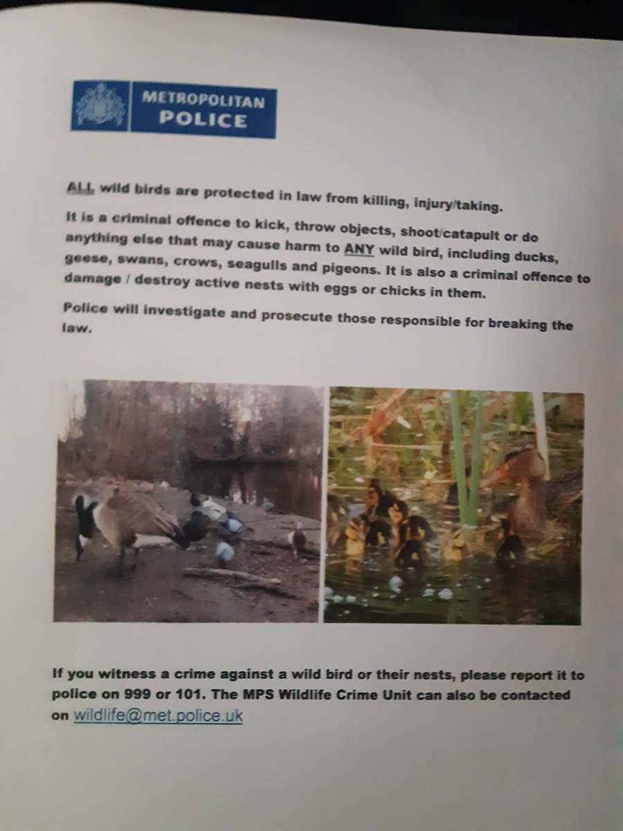 St Mary Cray tweet media