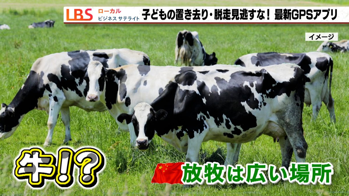 名古屋市のIT企業「余白文化」が開発した、保育園児の位置を一目で把握するアプリ。 多人数の位置データを滞りなく処理するには、データの軽量化が必要でした。そのヒントは、放牧している牛を管理するシステムにありました。 全編映像（無料記事です）👉 nikkei.com/article/DGXZQO… #テレビ愛知