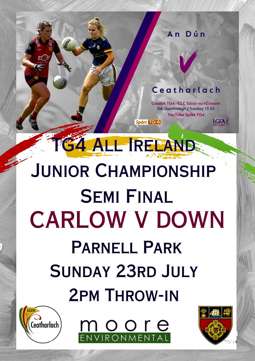 Carlow Ladies Football tweet media