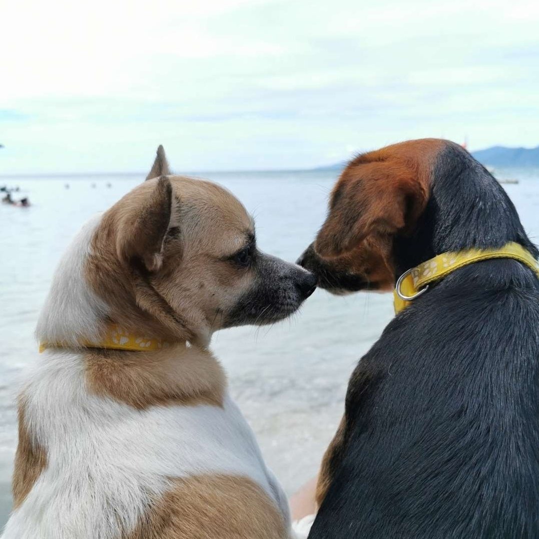 ubeviolette's tweet image. sculpting my 2 angels, gonna paint soon &amp;lt;3