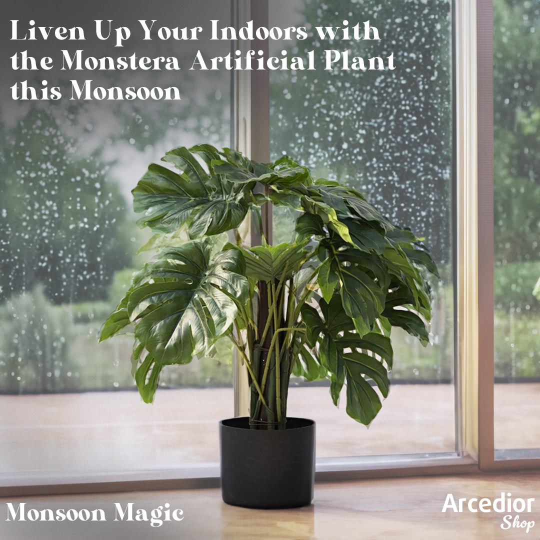 Life can be thorny, but let our plants keep you grounded and blooming.