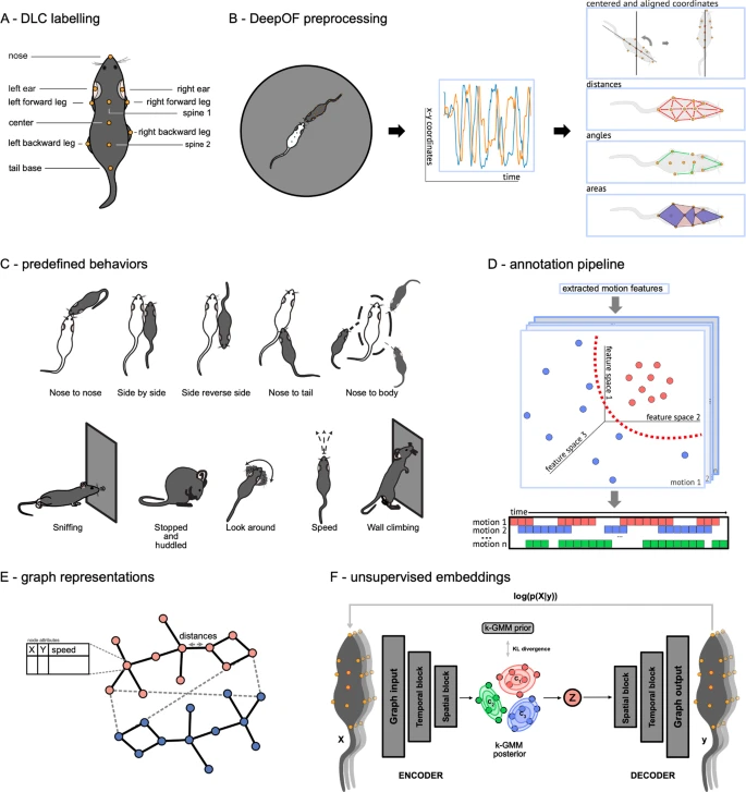 Interested to identify a behavioral profile specific for socially defeated mice? 
Use the new open-source tool DeepOF developed by <a href="/MathiasVSchmidt/">Mathias Schmidt</a> and colleagues.

Congrats, great work Mathias!

rdcu.be/dhdmO