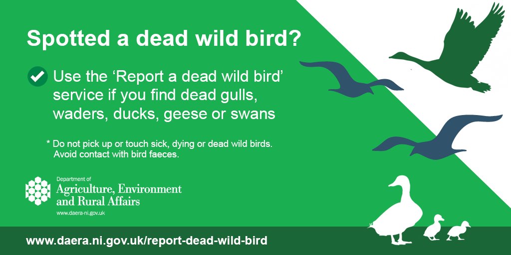daera_ni's tweet photo. 📲A new digital way to report dead wild birds in Northern Ireland has been launched. More info: https://t.co/xW6uLkwQp7 #avianflu @nidirect @britishpoultry @infoVetNI @NiVetSpecialist @OutdoorRecNI @EnvironmentNI @WalkNI @CommunityNI @DiscoverNI @TCVtweets   @LouiseMCullen https://t.co/vCO6vS8zM3