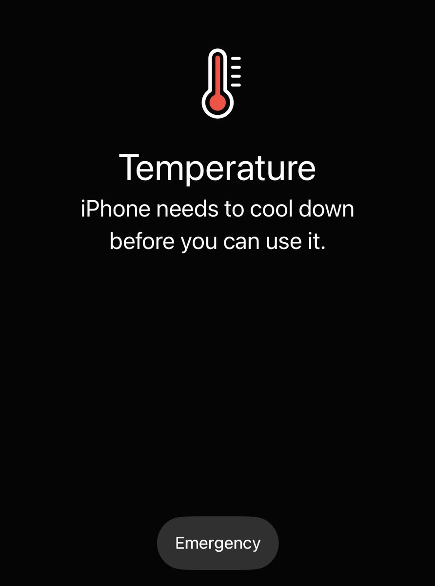 Daphne Tolis tweet media