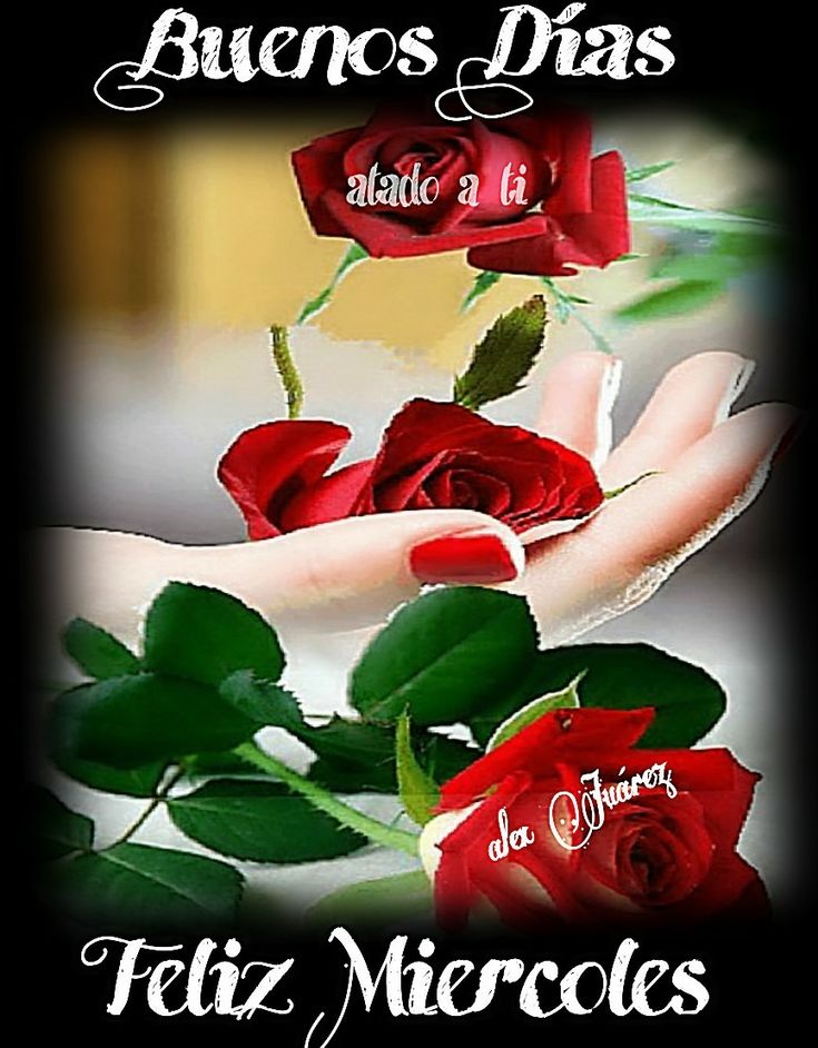 Pablo Priego Jimenez tweet media