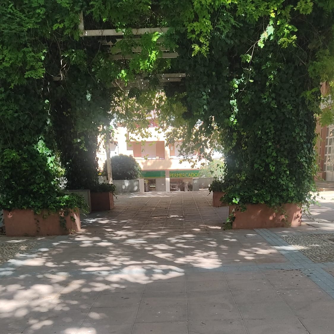 Granada_Limpia's tweet image. 😊 ¡Buenas tardes! Os mostramos el 𝒕𝒓𝒂𝒃𝒂𝒋𝒐 𝒅𝒊𝒂𝒓𝒊𝒐 de #Inagra

💥 Se atiende con barredora de calzada en  carretera de Málaga y plaza del Teatro

#GranadaLimpia #GranadaBonita #barredora #peones #soplahojas @aytogr @AnaSRequena @PreZero_ES