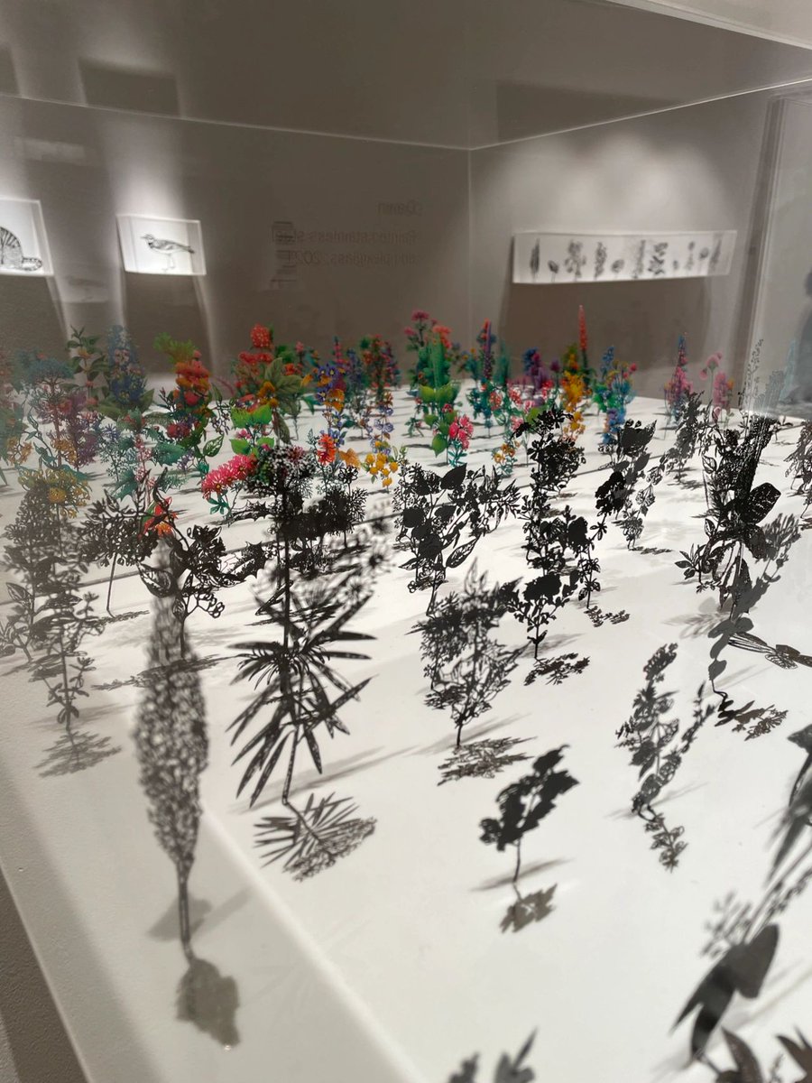 Black Field small flowers and plant sculptures