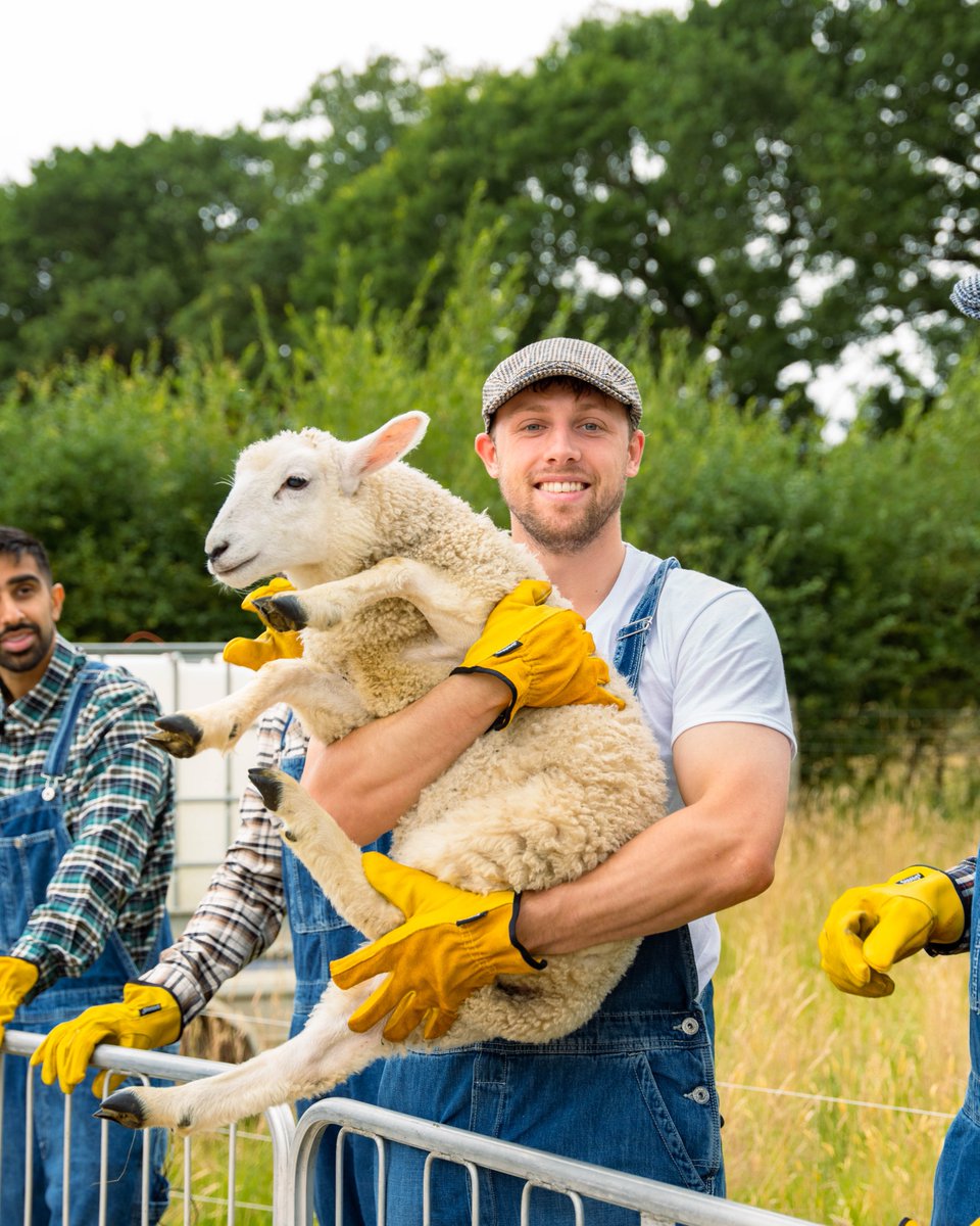 Sidemen's tweet photo. Just a farmer and his sheep 🐑 https://t.co/keTeE6UfXP