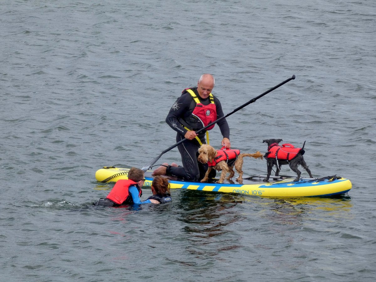 Pawdel boarding in Rathmullan