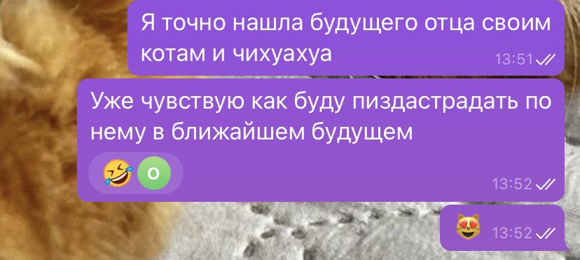 by_darima's tweet photo. https://t.co/3yL2w8DPek